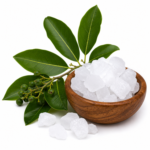 CAMPHOR