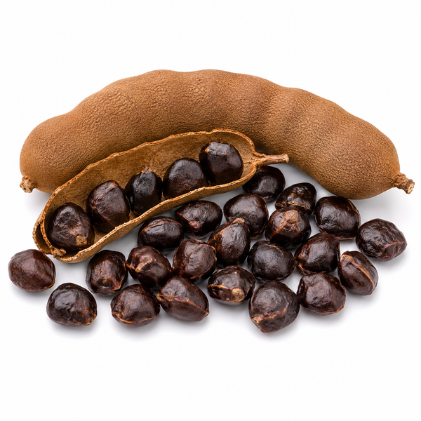 Tamarind Seed