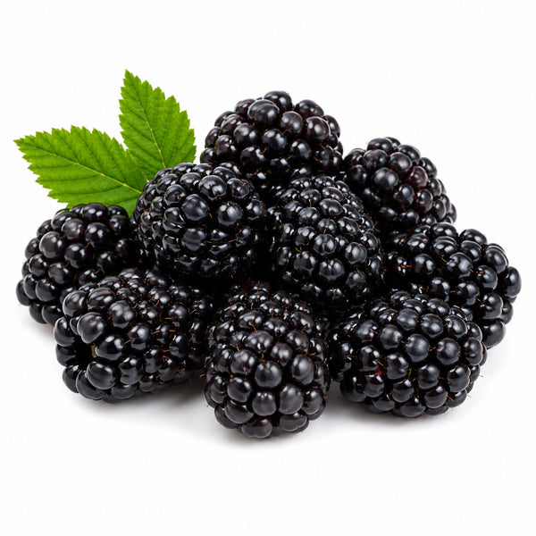 BLACK BERRY