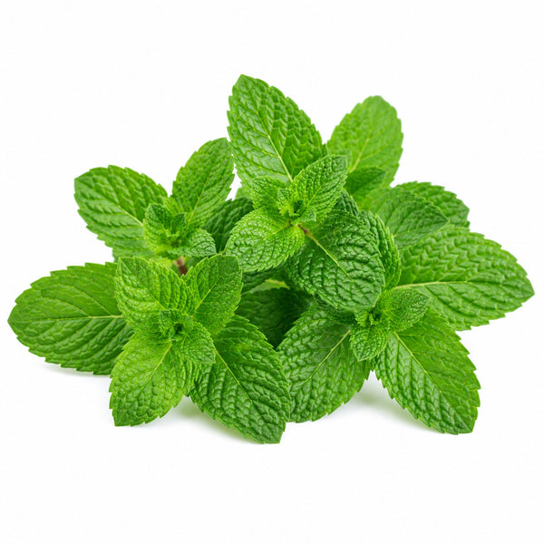 PEPPERMINT